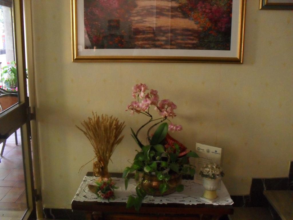 Albergo Ristorante Olimpia อับบาเดียซานซัลวาตอเร ภายนอก รูปภาพ