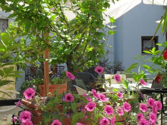 Albergo Ristorante Olimpia อับบาเดียซานซัลวาตอเร ภายนอก รูปภาพ